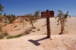 Horse trail guidepost
