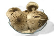 Bowl of Parasol Mushrooms