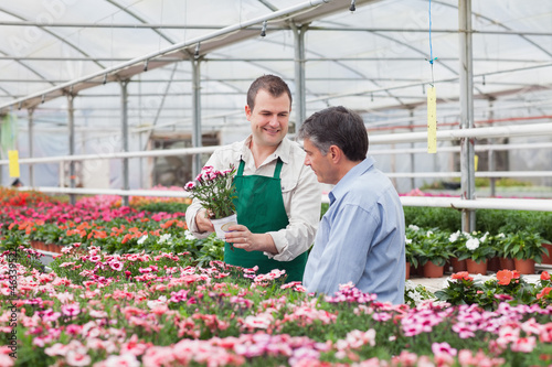 Photo: Man and employee looking at flowers in greenhouse Man and employee looking at flowers in greenhouse