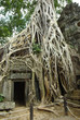 Photo : Ruins of ancient temple. Angkor wat, Cambodia Ruins of ancient temple. Angkor wat, Cambodia