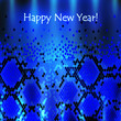 Snake New Year Background