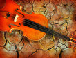 Violino su sfondo grunge, musica e spettacolo.