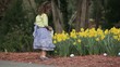 Young mixed race girl finding Easter eggs among daffodils and placing in basket