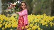 Video: Smiling young mixed race girl holding bouquet of flowers and looking at camera in daffodil field Smiling young mixed race girl holding bouquet of flowers and looking at camera in daffodil field