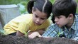 Young boy and girl planting and touching seedling in garden