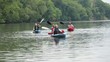 Senior couples kayaking on river