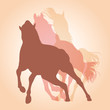 horses
