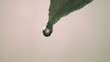A single drop of water falling from leaf  (slow motion)