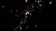 Close up of sparkler burning (slow motion)