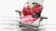 Snorkel gear on snow covered Andirondack chair