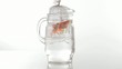 Goldfish swimming in pitcher
