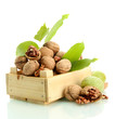 walnuts with green leaves in woooden crate, isolated on white