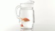 Goldfish swimming in pitcher