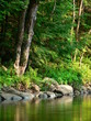stream bank
