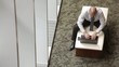 Mixed race businessman using laptop in lobby