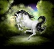 unicorno