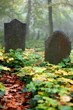 Old Gravestone