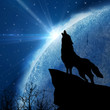 wolf in silhouette howling to the full moon