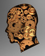 Illustration: Gears in head Gears in head
