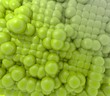 Lawn green   texture  structur  3d bubble Background ''
