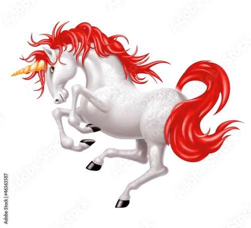 Illustration: unicorno unicorno