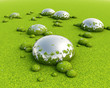 3D swamp