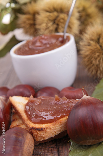 Photo: chestnut spread chestnut spread