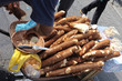 cassava