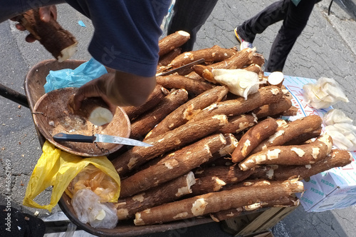 Photo: cassava cassava