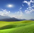 mountain meadow