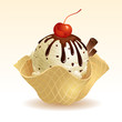 Vanilla Chocolate chip Ice cream