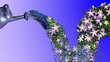 Video: animated transition with water drops and flowers animated transition with water drops and flowers