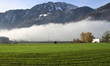 brouillard