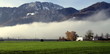 brouillard