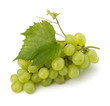 Photo: Ripe grape whith leaf Ripe grape whith leaf