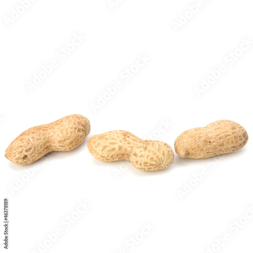Photo: Peanut Peanut