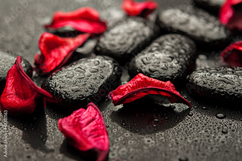 Photo: background spa. black stones and red petals with water droplets background spa. black stones and red petals with water droplets