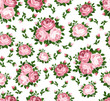 Seamless pattern with pink roses. Vector illustration.