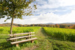 Photo: Odenwald Odenwald