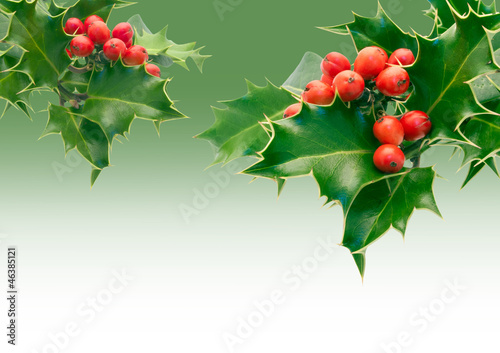 Photo: Holly Holly