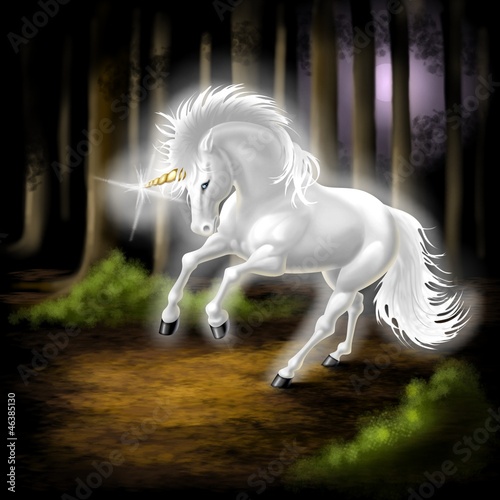 Illustration: unicorno unicorno
