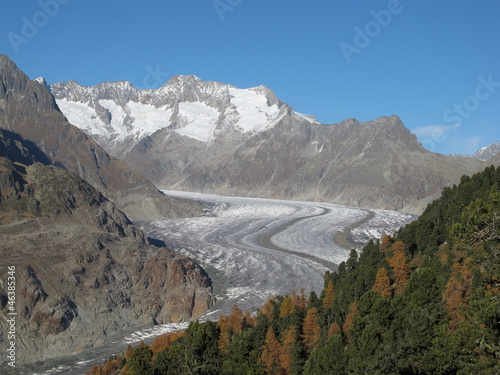 Photo: Colorful Larch Forest And Aletsch Glacier Colorful Larch Forest And Aletsch Glacier