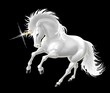 unicorno