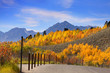 Photo: Autumn in Grand Tetons Autumn in Grand Tetons