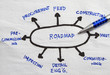 Roadmap planning