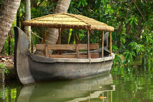 Photo: Palm tree tropical forest in backwater of Kochin, Kerala, India Palm tree tropical forest in backwater of Kochin, Kerala, India