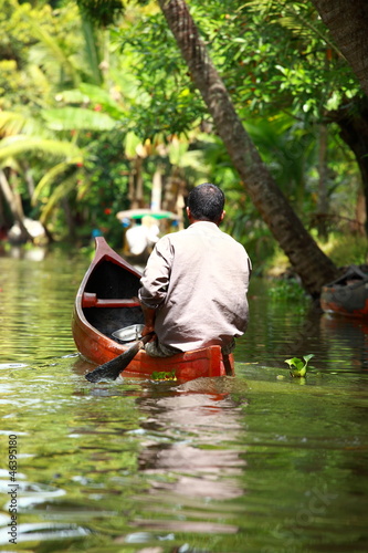 Photo: Palm tree tropical forest in backwater of Kochin, Kerala, India Palm tree tropical forest in backwater of Kochin, Kerala, India