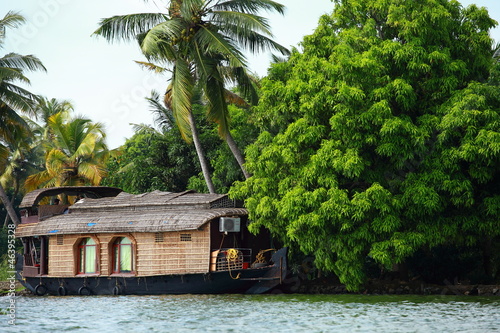 Photo: Palm tree tropical forest in backwater of Kochin, Kerala, India Palm tree tropical forest in backwater of Kochin, Kerala, India