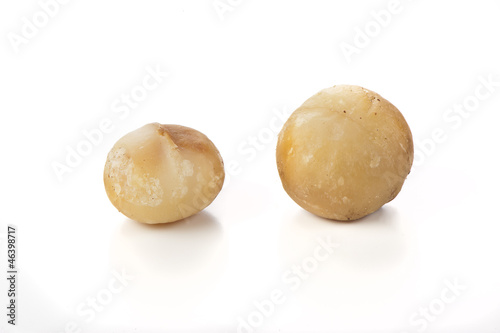 Photo: nuts of macadamia on white background nuts of macadamia on white background