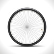 Bicycle Wheel